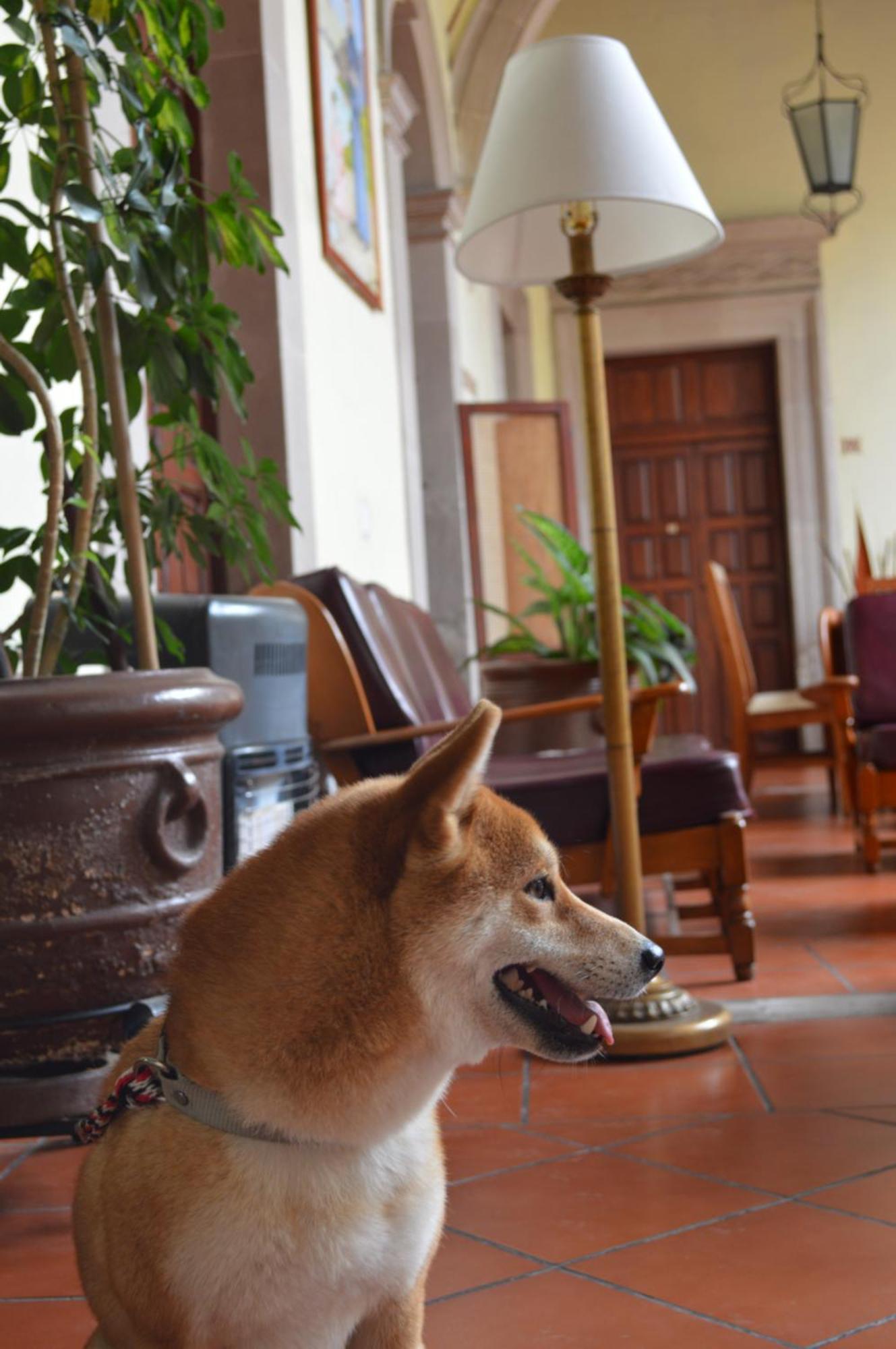 Hotel Posada San Agustin Durango Buitenkant foto