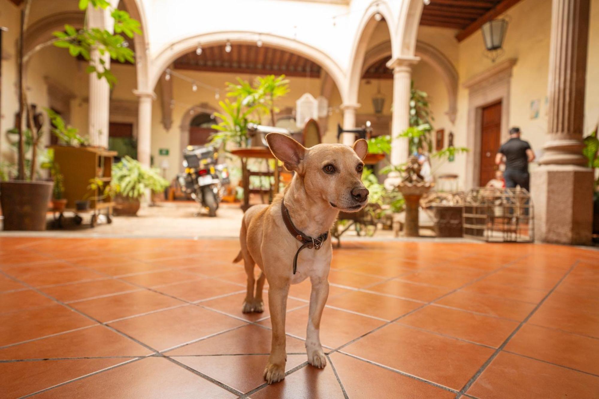 Hotel Posada San Agustin Durango Buitenkant foto